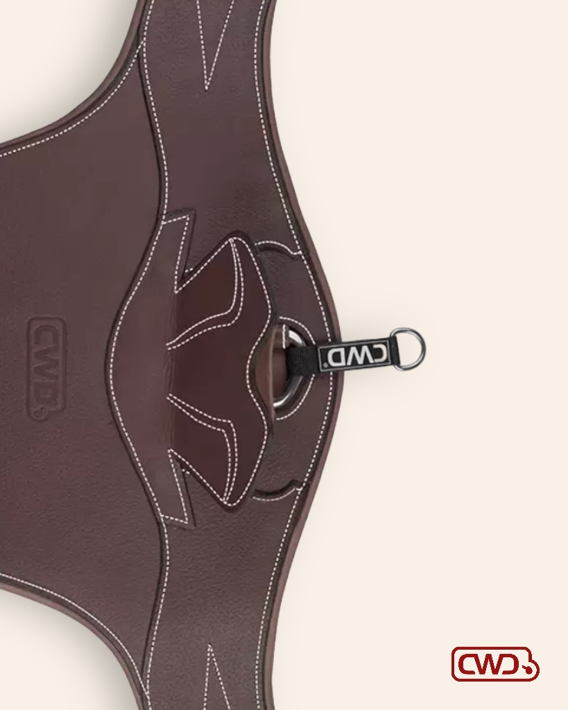 ANATOMIC JUMPING BELLY GUARD GIRTH – so goods